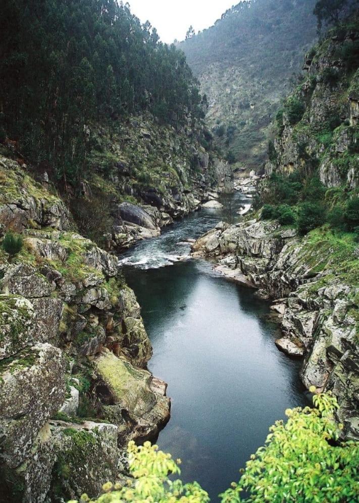 Crasto Payva Douro Nature Castelo de Paiva Bagian luar foto
